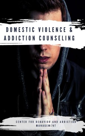 Domestic Violence Substance Abuse Training